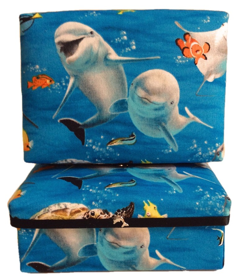 Dolphin Selfies Gift Box