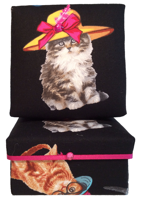 Dress Up Kitty Gift Box